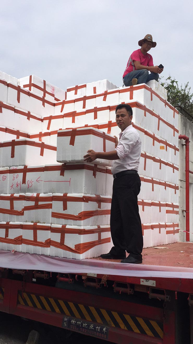 Z6·尊龙凯时(中国区)人生就是搏!