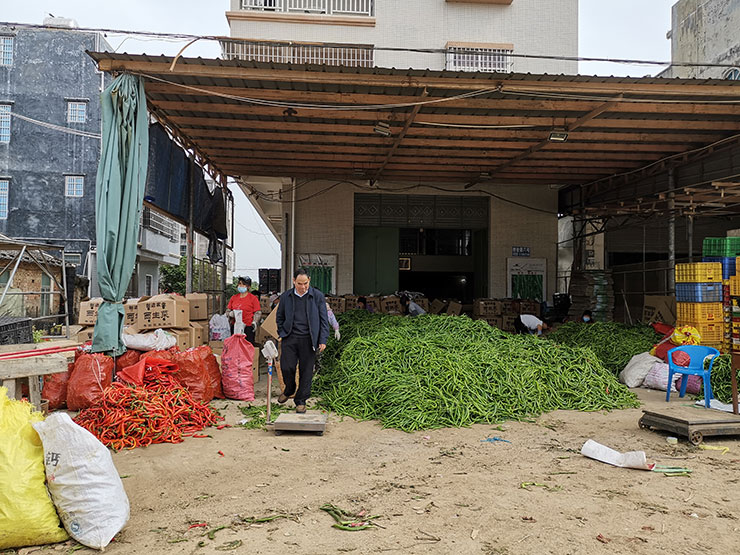 Z6·尊龙凯时(中国区)人生就是搏!