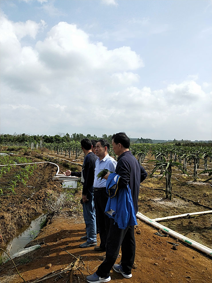 Z6·尊龙凯时(中国区)人生就是搏!