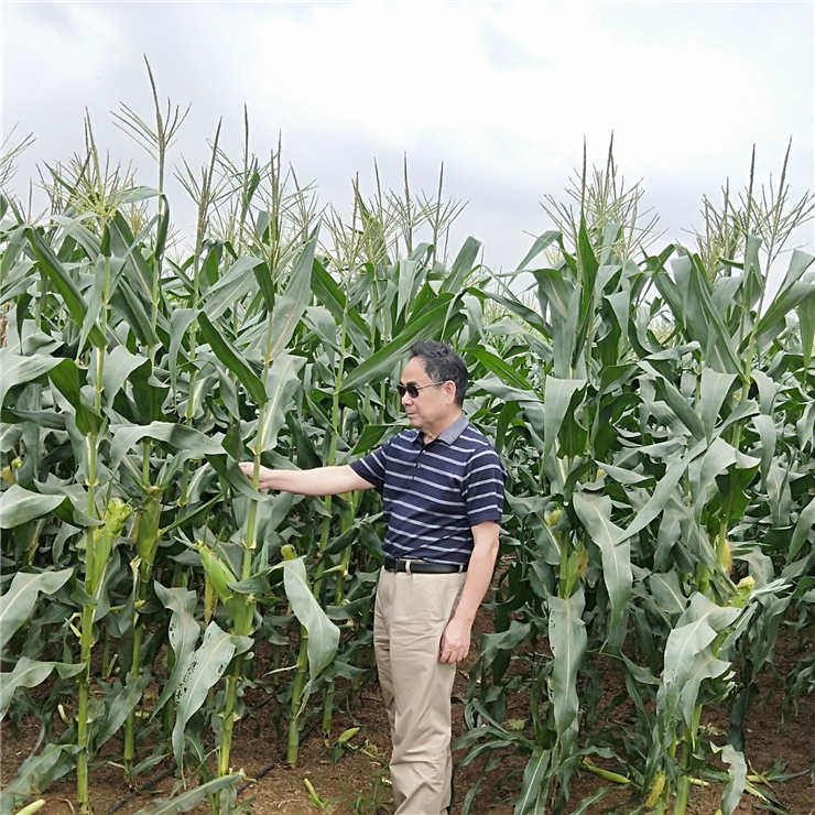 Z6·尊龙凯时(中国区)人生就是搏!