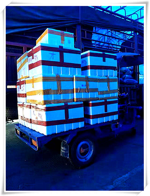 Z6·尊龙凯时(中国区)人生就是搏!