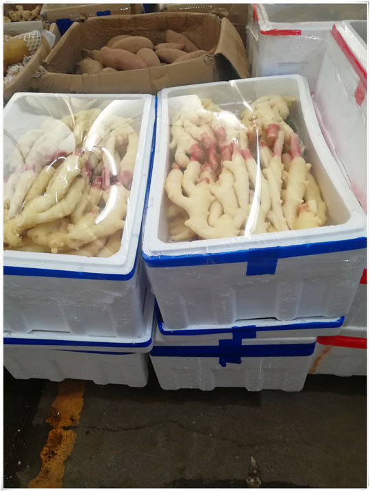 Z6·尊龙凯时(中国区)人生就是搏!