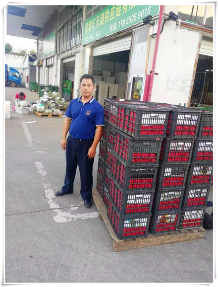 Z6·尊龙凯时(中国区)人生就是搏!