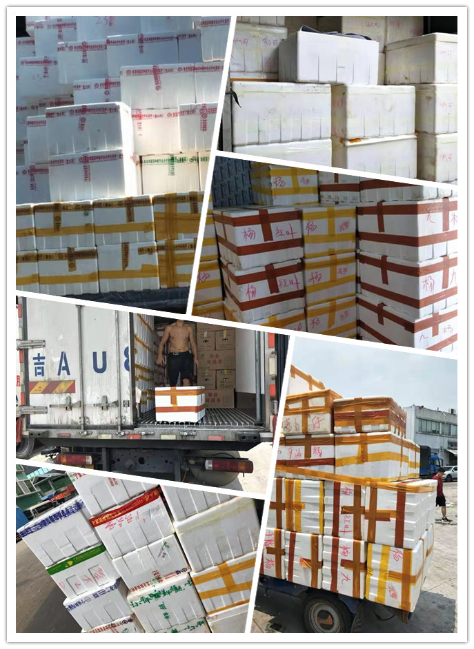 Z6·尊龙凯时(中国区)人生就是搏!