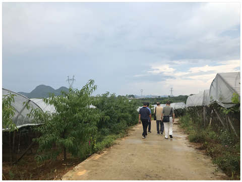 Z6·尊龙凯时(中国区)人生就是搏!