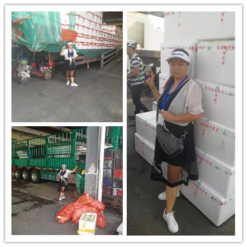 Z6·尊龙凯时(中国区)人生就是搏!