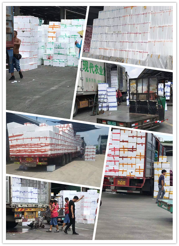 Z6·尊龙凯时(中国区)人生就是搏!