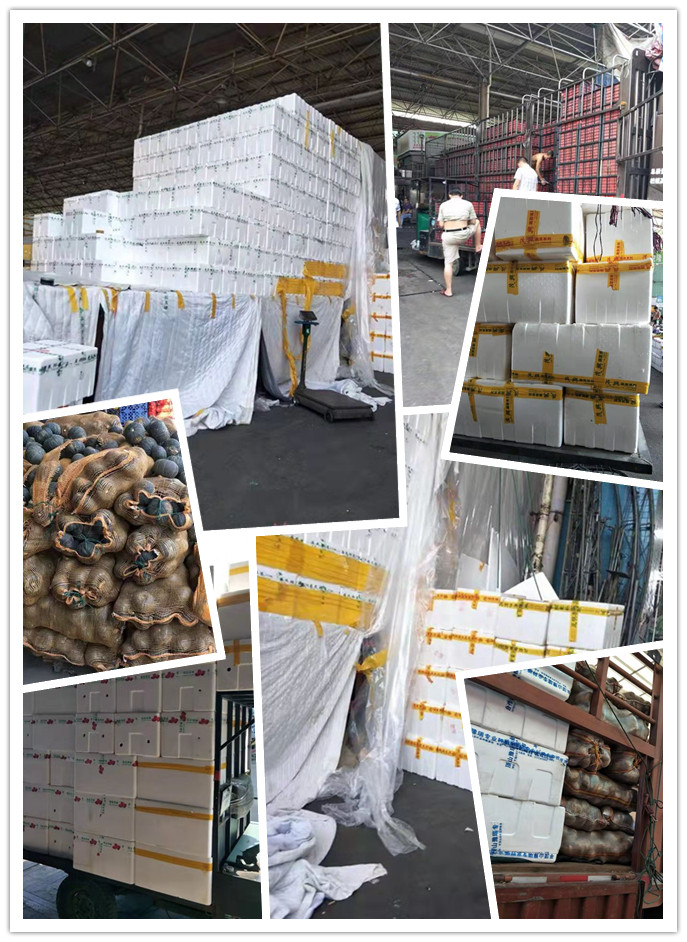 Z6·尊龙凯时(中国区)人生就是搏!