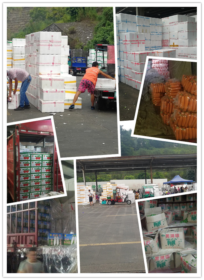 Z6·尊龙凯时(中国区)人生就是搏!