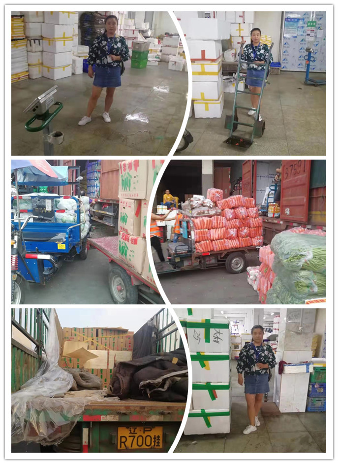 Z6·尊龙凯时(中国区)人生就是搏!