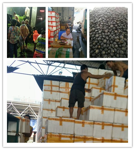 Z6·尊龙凯时(中国区)人生就是搏!