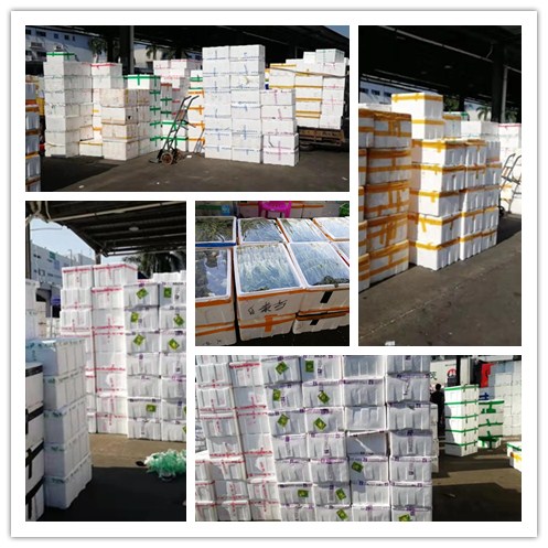 Z6·尊龙凯时(中国区)人生就是搏!