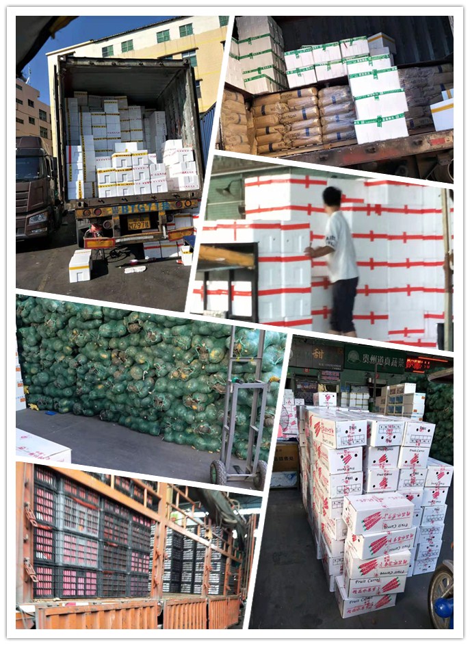 Z6·尊龙凯时(中国区)人生就是搏!