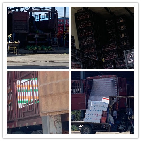 Z6·尊龙凯时(中国区)人生就是搏!