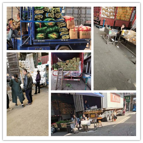 Z6·尊龙凯时(中国区)人生就是搏!