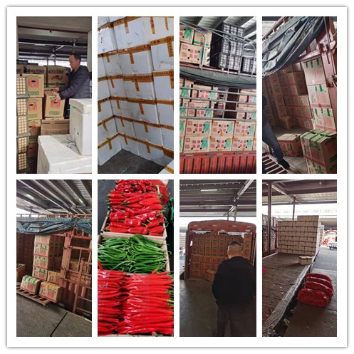 Z6·尊龙凯时(中国区)人生就是搏!