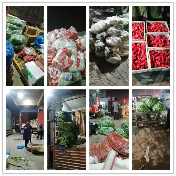 Z6·尊龙凯时(中国区)人生就是搏!