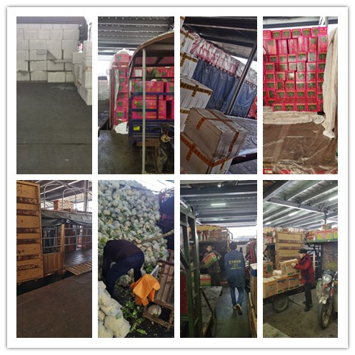 Z6·尊龙凯时(中国区)人生就是搏!