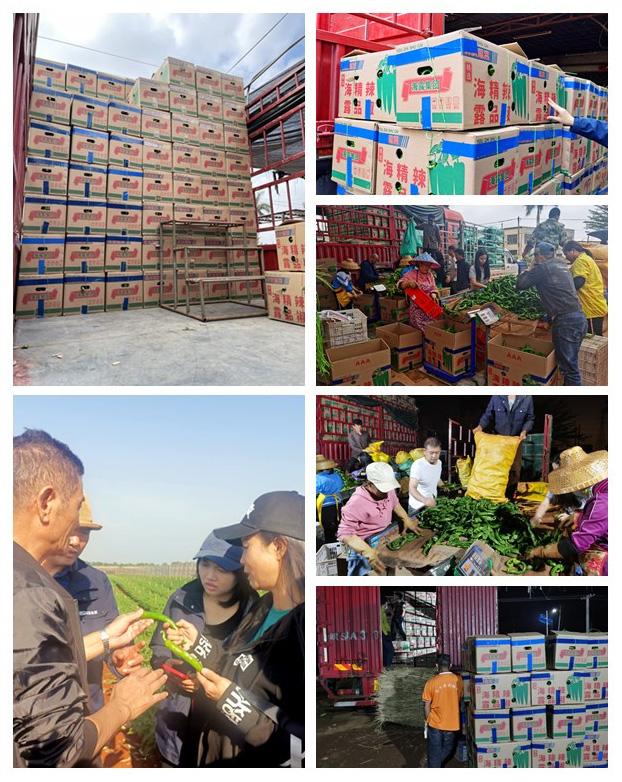 Z6·尊龙凯时(中国区)人生就是搏!