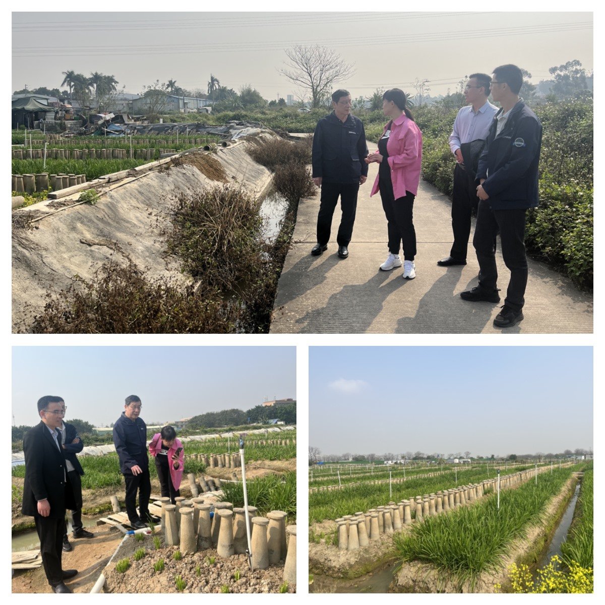 Z6·尊龙凯时(中国区)人生就是搏!